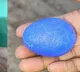Desi Hen In Karnataka Lays A Blue Egg Wins A Fan Following Of Its Own