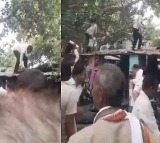 Monkey Throws Cash From Tree in Uttar Pradesh Viral Video