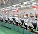 GST rationalisation expected to drive first-time two-wheeler buyers: Report