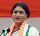 YS Sharmila Alleges Modi Suppressing CBI for Jagan
