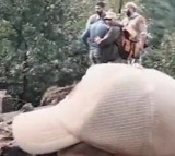 Nature's fury: 10 killed, 3 missing in J&K landslide, cloudburst (Ld)