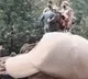 Nature's fury: 10 killed, 3 missing in J&K landslide, cloudburst (Ld)