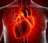 Common heart attack drug may raise death risk in some women: Study