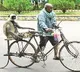 Nagarjuna University Employee Uses Langur to Control Monkeys