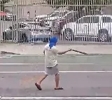 Gurpreet Singh Shot by Police After Gatka Performance in LA