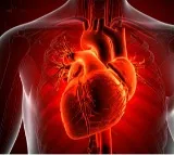 Beta Blockers Heart Attack Drugs May Harm Women