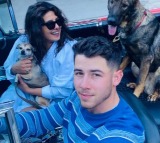Priyanka, Nick celebrate furry friends Gino, Diana’s b’day: We love you so much