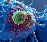 IIT Guwahati’s new nanosensor can instantly detect cancer-causing pollutants in water