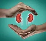 Kidney Health Best Drinks to Improve Kidney Health