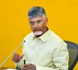 AP CM Chandrababu Naidu Expresses Grief Over Accidents During Ganesh Immersion