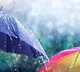 Telangana Rains Alert Heavy Rains Expected in 13 Districts