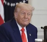 Donald Trump Claims India Offered To Cut Tariffs To Nothing