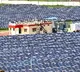 GST Council cuts tax on renewable energy equipment to 5 pc