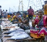 GST rate cut across fisheries value chain to boost India’s Blue Economy: Govt