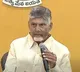 Chandrababu Naidu calls Jagan a strange creature