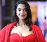 Meenakshi Chaudhary Bollywood Entry with Force 3 Movie