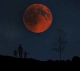 Lunar Eclipse Watch the Spectacular Celestial Event on November 7