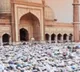 Governor, CMs of Telugu states greet people on Milad-un-Nabi