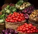 GST reforms to moderate CPI inflation in range of 65-75 bps over FY26-27