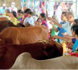 GST revamp to boost cooperative sector, 10 crore dairy farmers: Govt