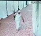 Golden Kalash worth Rs 1 Cr stolen from Red Fort during Jain religious event suspect identified