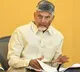 Chandrababu Naidu Teleconference on Fertilizer Availability in AP