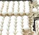 AP top in egg production says Director Damodar Naidu
