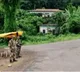 Meghalaya Police bust cross-border crime nexus, 10 Bangladeshis arrested
