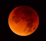 Chandra Grahanam Begins in India