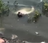 Gwalior Youth Tinku Singh Stages Death for Social Media Reel