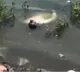 Gwalior Youth Tinku Singh Stages Death for Social Media Reel