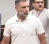 Sonia, Rahul Gandhi cast their votes for VP election