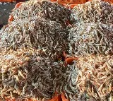 EU lists 102 new Indian fishery establishments for exports: Govt