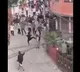 Bishnu Prasad Paudel Nepal minister attacked during protests