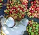 Big relief for Kashmir apple growers, daily parcel train to Delhi from Sep 13