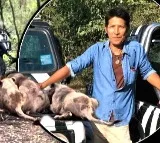 Bangkok Safari World Zoo Keeper Killed in Lion Attack
