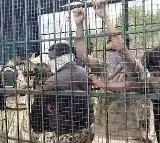 Villagers lock up forest officials in tiger cage in Karnataka