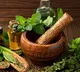 Pharmacopoeia Commission conducts training programme to boost regulation, quality of Ayush drugs
