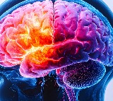 18-year-old diagnosed with acanthamoeba infection in Thiruvananthapuram