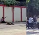 Boyfriend Kills Girlfriend Nandini in Gwalior Public Place