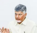 Andhra CM urges Centre to support aqua farmers hit hard by US tariffs