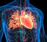 Heart Health Daily Mistakes That Damage Your Heart