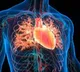 Heart Health Daily Mistakes That Damage Your Heart