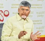 Chandrababu warns against cancer risk from urea high usage