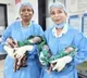 Woman Gives Birth to Four Babies in Satara Maharashtra