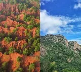 Tirumala and Visakhapatnam Erra Matti Dibbalu get International recognition