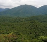 IIT Kharagpur study shows a steady decline in the country's forest health