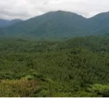 IIT Kharagpur study shows a steady decline in the country's forest health