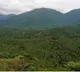 IIT Kharagpur study shows a steady decline in the country's forest health