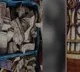 Crores of Cash and Gold Seized From Assam Lady Officer Nupur Bora House
